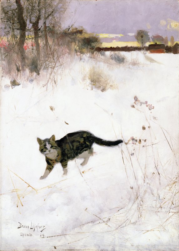Bruno Andreas Liljefors - Cat
